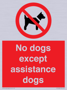 No dogs except assistance dogs